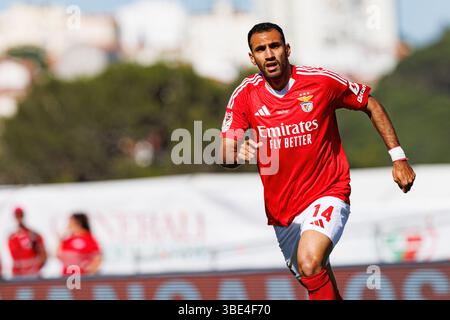 Vangelis Pavlidis visto durante la finale del TACA de Portugal 2025 tra squadre di SL Benfica e Sporting CP (Maciej Rogowski) Foto Stock