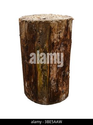 Blocco per tritare in legno, usato come piattaforma per spaccare legna da ardere. Isolato su sfondo bianco con percorso di ritaglio. Foto Stock