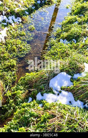 neve appena caduta sull'erba verde vicino al fosso nelle giornate di primavera assolate Foto Stock