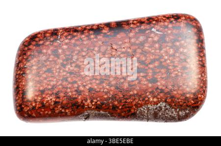 primo piano di un campione di pietra naturale proveniente dalla collezione geologica - minerale di tufo vulcanico di analcimolite lucidato isolato su sfondo bianco Foto Stock