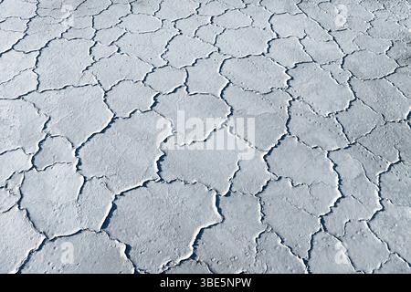 Vista aerea di una distesa di fango incrinata e ricoperta di croste saline bianche. I motivi geometrici evidenziano l'ambiente arido, rivelando texture uniche Foto Stock