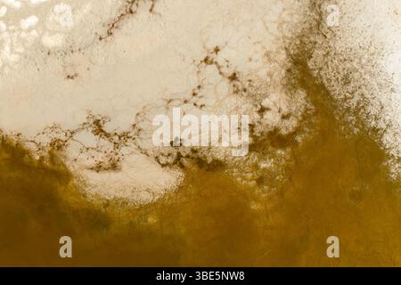 Dall'alto, questa immagine catturata con i droni mostra gli intricati motivi e le ricche texture della laguna di Carachipampa a Catamarca, Argentina. I colori si fondono Foto Stock
