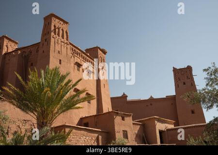 Questa immagine cattura un'antica kasbah con la sua architettura in terra crogiolata sotto un cielo blu limpido, adagiata tra lussureggianti palme, mostrando lui culturale Foto Stock