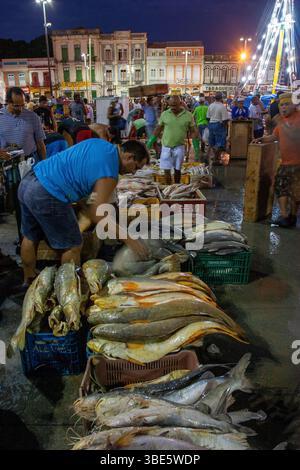Un pesce di fiume amazzonico si trova presso il mercato Ver-o-peso di Belém, Pará, e mostra una varietà di catture prima dell'alba durante la notte per ristoranti, hotel e il pubblico. Foto Stock