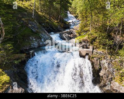 Una pittoresca cascata in una foresta norvegese, dove un limpido fiume di montagna scorre rapidamente su pietre circondate da una vegetazione vibrante. Foto Stock