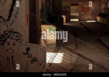 Lungo corridoio di probabilmente una sala alimentatrice in una fattoria abbandonata, le pareti sono piene di graffiti e c'è luce naturale dalle porte mancanti. Foto Stock