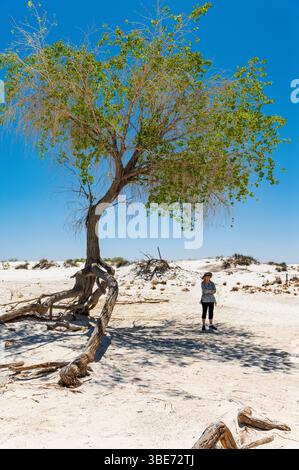 Donna anziana solitaria che esplora il percorso naturalistico Dune Life; White Sands National Park; New Mexico; USA Foto Stock