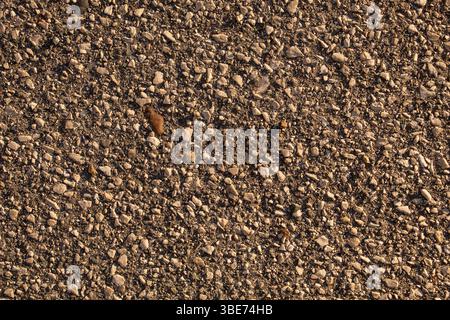 Primo piano della struttura dell'asfalto. Foto Stock