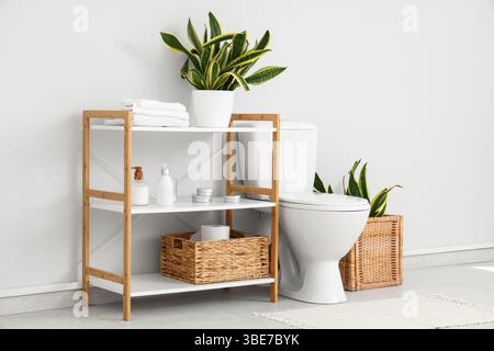 Interno del bagno con ciotola, ripiano e impianto di Sansevieria Foto Stock