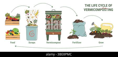 Infografica del vermicomposting. Come fare il vermicompost a casa. Verme riducendo in concime organico. Riciclaggio di rifiuti organici, vermicomposter. Vita sostenibile, zero w Illustrazione Vettoriale