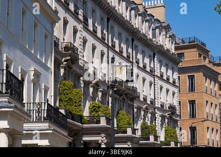 Proprietà in Grosvenor Crescent nell'esclusiva zona di Belgravia il 9 maggio 2025 a Londra, Regno Unito. Tradizionalmente le zone ricche della West London si sono trasformate in nuovi parchi giochi ricchi, con affluenti di denaro oltreoceano in particolare dal Medio Oriente, dalla Russia e dalla Cina. Secondo una recente ricerca condotta da un'agenzia immobiliare leader specializzata in immobili di fascia alta, la capitale del Regno Unito ospita più persone di alto valore netto HNW e UHNW di qualsiasi altra città del mondo. Foto Stock