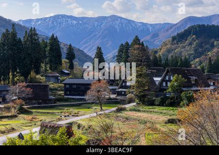 Mountain village of Ainokura in Toyama, Japan featuring gassho zukuri houses, terraced fields and forest surroundings typical of rural Japanese life Foto Stock
