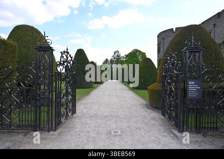 Ammira attraverso i cancelli di metallo nero ornati i giardini formali e il topiary del tasso ritagliato al castello e giardino di Chirk, Galles, Regno Unito maggio Foto Stock