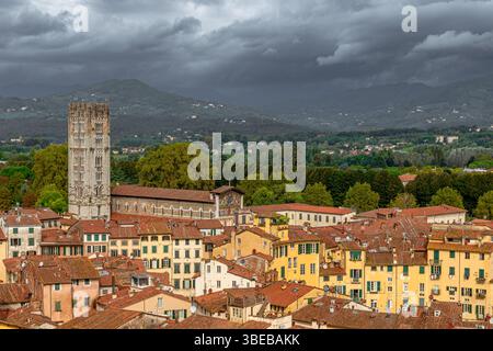 Tetti ed edifici della città di Lucca, visti dalla cima della Torre Guinigi, Lucca, Toscana, Italia Foto Stock