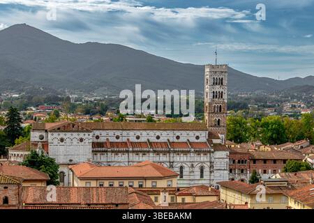 Tetti ed edifici della città di Lucca, visti dalla cima della Torre Guinigi, Lucca, Toscana, Italia Foto Stock