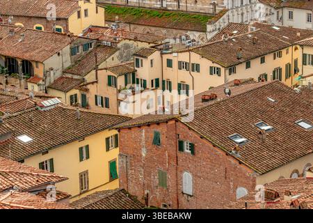 Tetti ed edifici della città di Lucca, visti dalla cima della Torre Guinigi, Lucca, Toscana, Italia Foto Stock