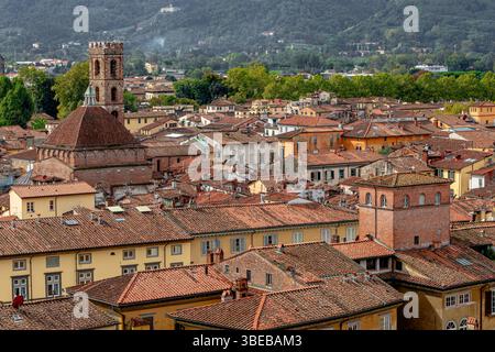 Tetti ed edifici della città di Lucca, visti dalla cima della Torre Guinigi, Lucca, Toscana, Italia Foto Stock