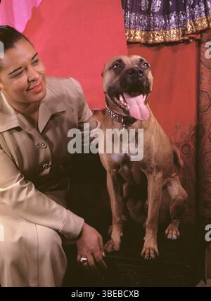 Un ritratto di Billie Holiday di Carl Van Vechten scattato il 23 marzo 1949. Billie Holiday, nata Eleanora Fagan (New York, 7 aprile 1915 – New York, 17 luglio 1959), è stata una cantante statunitense di musica jazz e swing. Soprannominata "Lady Day" dalla sua amica e partner musicale, Lester Young, Holiday ha dato un contributo significativo alla musica jazz e al canto pop. Il suo stile vocale, fortemente influenzato dagli strumentisti jazz, ha ispirato un nuovo modo di manipolare il fraseggio e il tempo. Holiday era nota per le sue doti vocali e improvvisative Foto Stock