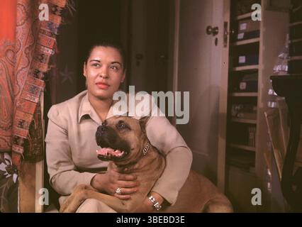 Un ritratto di Billie Holiday di Carl Van Vechten scattato il 23 marzo 1949. Billie Holiday, nata Eleanora Fagan (New York, 7 aprile 1915 – New York, 17 luglio 1959), è stata una cantante statunitense di musica jazz e swing. Soprannominata "Lady Day" dalla sua amica e partner musicale, Lester Young, Holiday ha dato un contributo significativo alla musica jazz e al canto pop. Il suo stile vocale, fortemente influenzato dagli strumentisti jazz, ha ispirato un nuovo modo di manipolare il fraseggio e il tempo. Holiday era nota per le sue doti vocali e improvvisative Foto Stock
