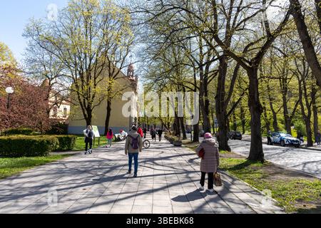 Viale alberato a Tallinn, Estonia Foto Stock