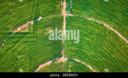 Cerchi di irrigazione e campi di ritaglio con perno centrale dell'antenna percorsi geometrici dall'alto verso il basso Foto Stock