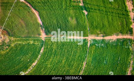 Cerchi di prodotto aerei e terreni agricoli con vista dall'alto dei sentieri sterrati Foto Stock