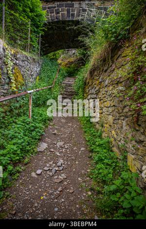 Paesaggio intorno al castello di Löwenburg. Splendide rovine storiche del castello sul torrente Elzbach nel mezzo della foresta. Foto di paesaggi vicino a Monreal Foto Stock