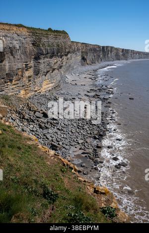 Guardando verso est verso Nash Point da Monknash Beach sulla Glamorgan Heritage Coast nel Galles del Sud, Regno Unito Foto Stock