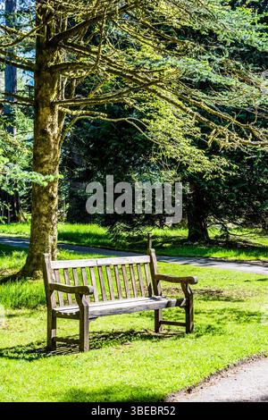 Una vecchia panchina nel Giardino Botanico Benmore. Foto Stock