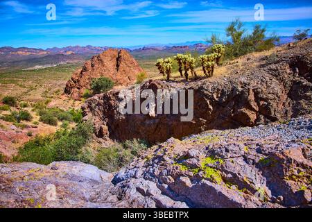 Cholla Cactus e affioramento roccioso che si affaccia sulla Valle del deserto di Sonora con vista dal livello dell'occhio Foto Stock
