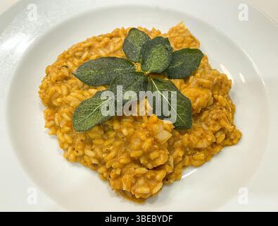 Risotto alla zucca con foglie di salvia fritte Foto Stock