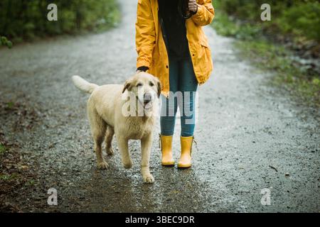 Donna anonima che cammina con un impermeabile giallo sotto la pioggia Foto Stock