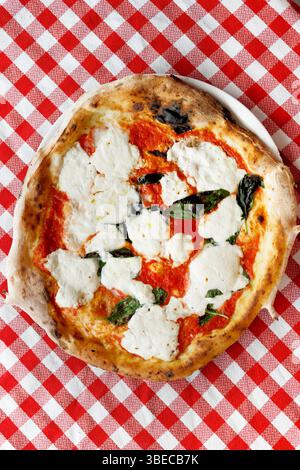 pizza margherita con formaggio di bufalo su una tovaglia a scacchi Foto Stock