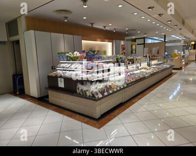 All'interno di Elm Shopping Chiba, Giappone Foto Stock