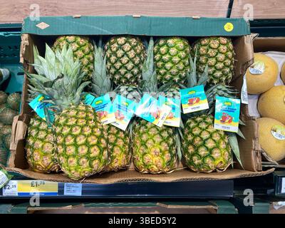 Ananas fresco, Ananas comosus, in vendita al supermercato Tesco, Regno Unito Foto Stock