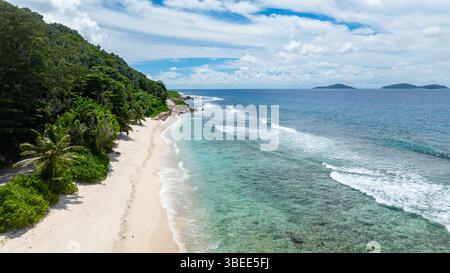 Una splendida spiaggia di sabbia bianca con palme sovrastanti e acque cristalline che si estendono in lontananza. Seychelles, la Digue. Foto Stock