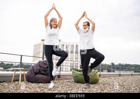 Coppia senior che pratica yoga insieme sul tetto per la salute e il relax Foto Stock