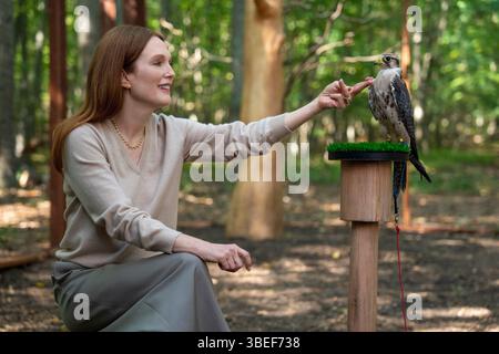 JULIANNE MOORE in SIRENS (2025), diretto da NICOLE KASSELL. Crediti: Netflix Studios / LuckyChap / album Foto Stock