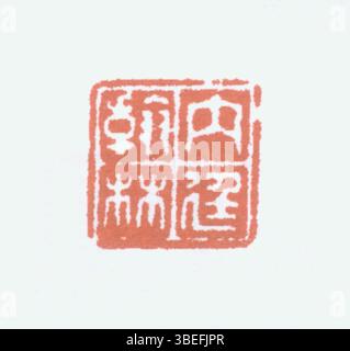 Un sigillo cinese in cinese semplificato, utilizzato per scopi personali e ufficiali, riflette un'importante tradizione culturale. Questi sigilli sono realizzati con caratteri o simboli unici che rappresentano l'identità personale e l'autorità ufficiale. Foto Stock