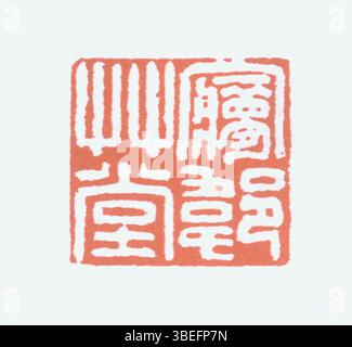 Questo sigillo cinese tradizionale, scolpito con caratteri cinesi semplificati, viene utilizzato per autenticare documenti e opere d'arte. È un importante simbolo culturale, spesso legato all'identità personale, alla proprietà e alla paternità nella società cinese. Foto Stock