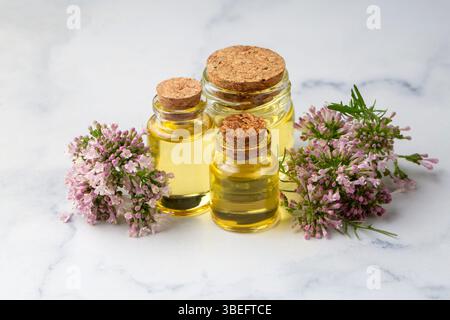 Olio essenziale in bottiglia con pianta valeriana in fiore Foto Stock