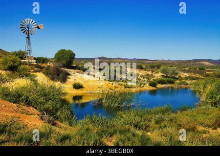 Oasi con mulini a vento nel deserto dell'entroterra dell'Australia meridionale, nelle Flinders Ranges nelle vicinanze del villaggio di Blinman Foto Stock