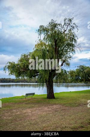Tranquillo profumo sul lago con un albero di salice e una panca vuota al Lake Monger Park, Perth, Australia, 24 aprile 2020 Foto Stock