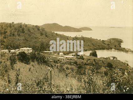 Una fotografia della piantagione di Hermitage a Saint Croix nelle Indie occidentali danesi intorno al 1900. L'immagine cattura l'architettura e il paesaggio circostante della piantagione durante il periodo coloniale. Foto Stock