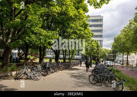 RWTH, Universitätsbibliothek - Aquisgrana, Nordrhein-Westfalen, Deutschland *** RWTH, Biblioteca Universitaria di Aquisgrana, Renania settentrionale-Vestfalia, Germania Foto Stock