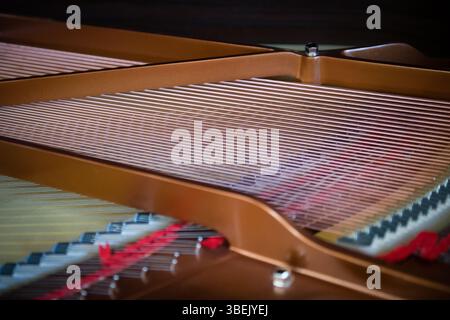 All'interno del nuovo pianoforte a coda, primo piano delle corde, bassa profondità di campo Foto Stock