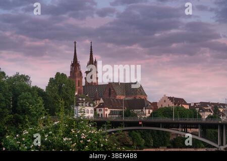 Basilea, primavera, Reno, Svizzera, Basilea, skyline, Münster, Canton Baselstadt, alba, atmosfera mattutina, alba Foto Stock