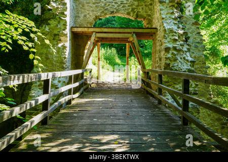 Ponte di legno in una foresta lungo il sentiero di trekking. Vecchio ponte di legno sul torrente. Foto Stock