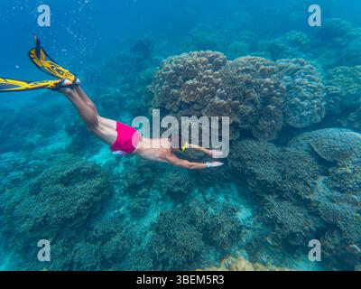 Un subacqueo nuota sotto la superficie, esplorando le colorate barriere coralline in Thailandia. Tra i coralli spiccano pesci luminosi, che mostrano la bellezza sottomarina e. Foto Stock