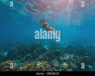 Una persona esplora la vivace vita marina mentre fai snorkeling sopra una barriera corallina. La luce solare filtra attraverso l'acqua, creando un'atmosfera subacquea serena Foto Stock